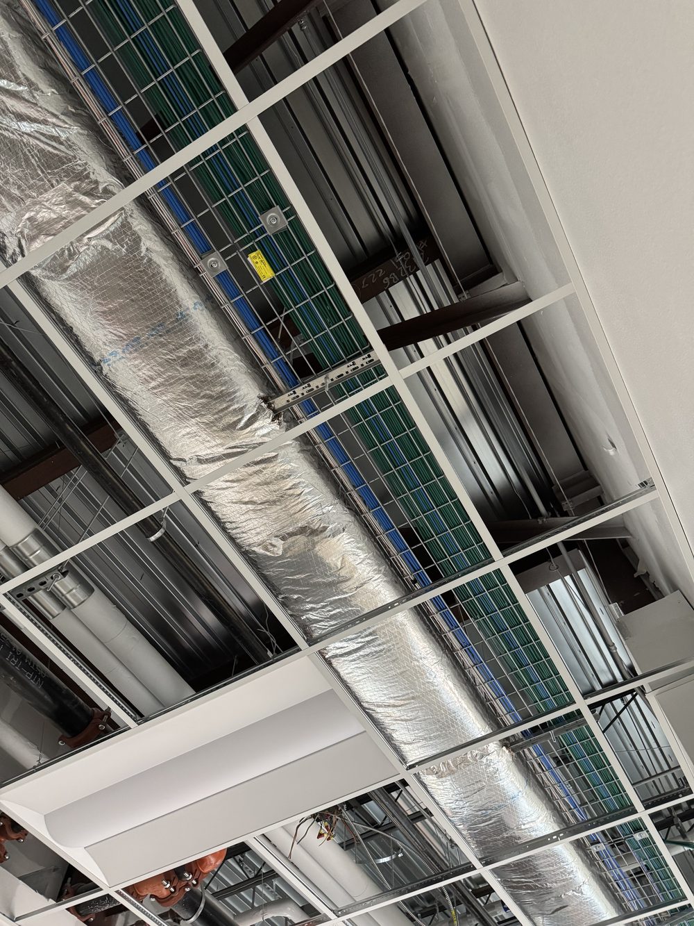 Blue and green Cat6 cable bundles running through wire basket tray above a suspended ceiling grid